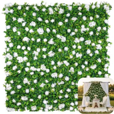 top_amazon_home_decor_finds