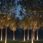 outdoor_tree_lighting_ideas_to_transform_your_yard